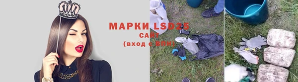 PSILOCYBIN Абинск