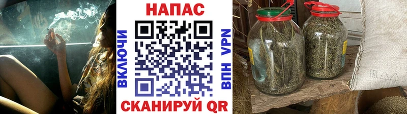купить наркотики цена  Кинель  Канабис марихуана 